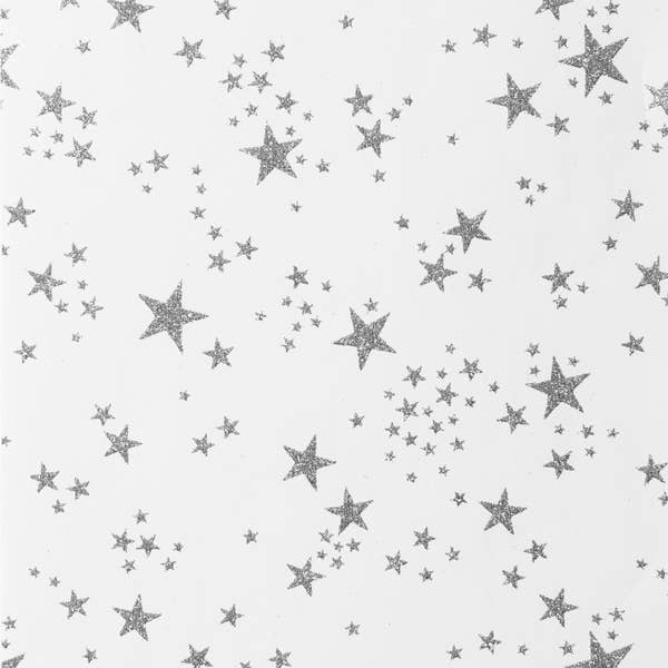 Winter Wonderland Scattered Star Silver on White