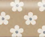 Uniqueco Bio Glitter FSC® Lasting Love Daisy on Kraft