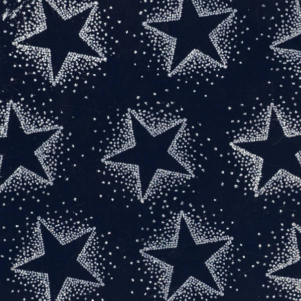 Christmas Sparkle Dotty Star Silver on Navy