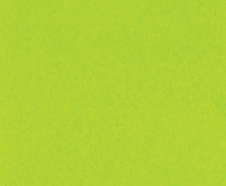 5 Sheets Lime Green Printed Tissue Paper (unit of 12)