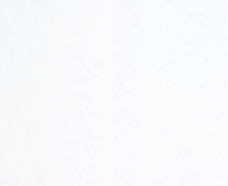 5 Sheets White Printed Tissue Paper (unit of 12 packs)